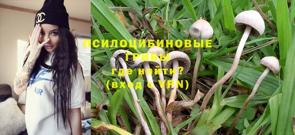 ALPHA PVP Армянск