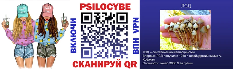 цены наркотик  Пучеж  Псилоцибиновые грибы Psilocybine cubensis 